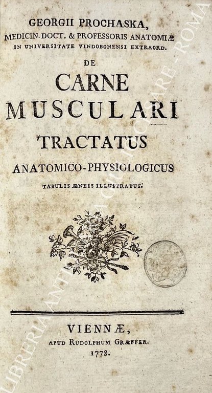 De carne musculari tractatus anatomico-physiologicus | Immagine Gallery 2