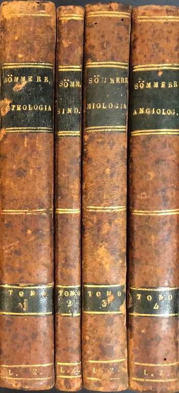 Della fabbrica del corpo umano. Tradotto dalla seconda edizione tedesca … | Immagine Gallery 2