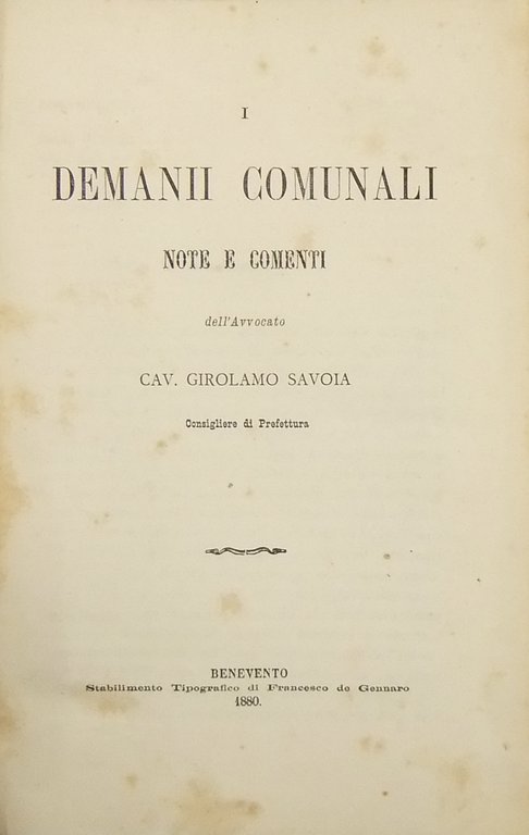 Demanii comunali. Note e commenti | Immagine Gallery 2