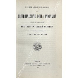 Di alcune fondamentali questioni sulla determinazione della indennità nelle espropriazioni … | Immagine principale