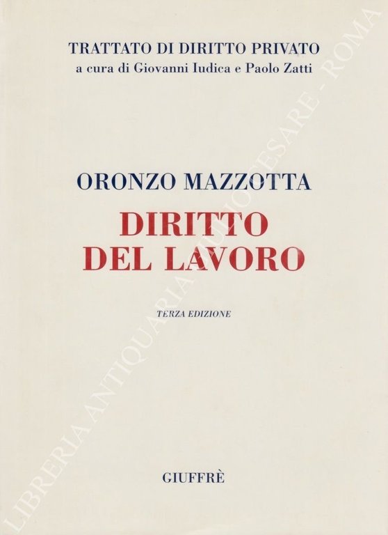 Diritto del lavoro. Il rapporto di lavoro | Immagine Gallery 2