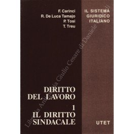 Diritto del lavoro. Vol. I - Il diritto sindacale