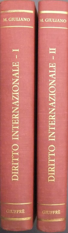Diritto internazionale. Vol. I - La società internazionale e il … | Immagine Gallery 2