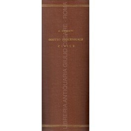Diritto processuale civile. Vol. I - Nozioni e regole generali. …