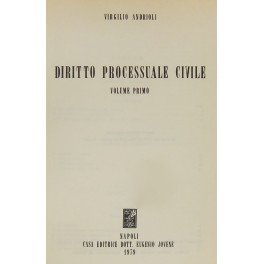 Diritto processuale civile. Vol. I (Unico pubblicato) | Immagine principale