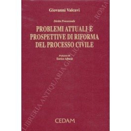 Diritto processuale. Problemi attuali e prospettive di riforma del processo …