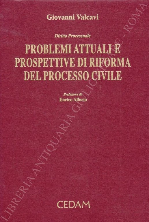 Diritto processuale. Problemi attuali e prospettive di riforma del processo … | Immagine Gallery 2