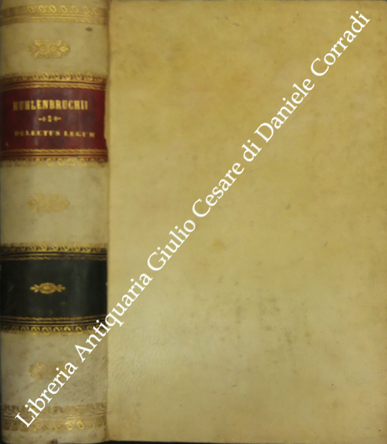 Doctrina Pandectarum scholarum in usum. Editio nova auctior et emendatior … | Immagine Gallery 2