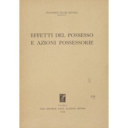 Effetti del possesso e azioni possessorie