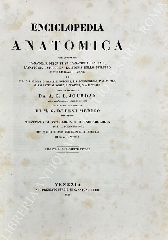 Enciclopedia anatomica che comprende l'anatomia descrittiva, l'anatomia generale, l'anatomia patologica, … | Immagine Gallery 2