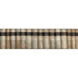 Enciclopedia del diritto penale italiano. Raccolta di monografie