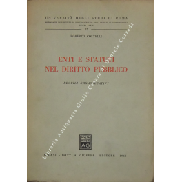 Enti e statuti nel diritto pubblico. Profili organizzativi
