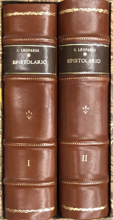 Epistolario. A cura di Franco Brioschi e Patrizia Landi | Immagine Gallery 2