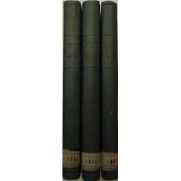 Epitome iuris canonici. Cum commentariis ad scholas et ad usum …