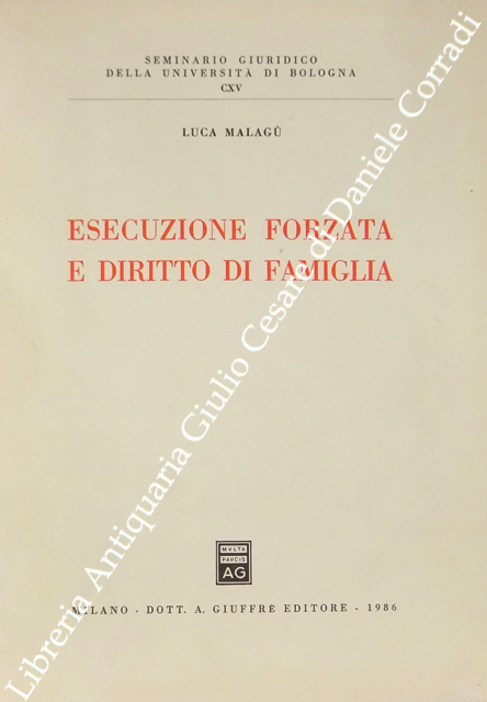 Esecuzione forzata e diritto di famiglia | Immagine Gallery 2