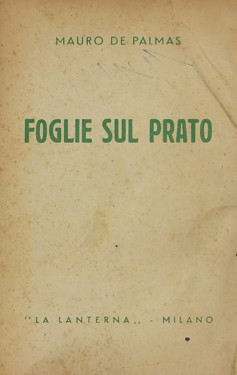 Foglie sul prato | Immagine Gallery 2