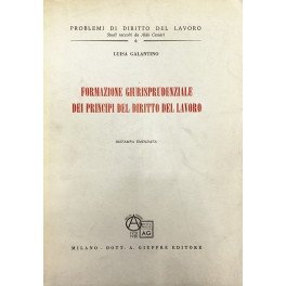 Formazione giurisprudenziale dei principi del diritto del lavoro