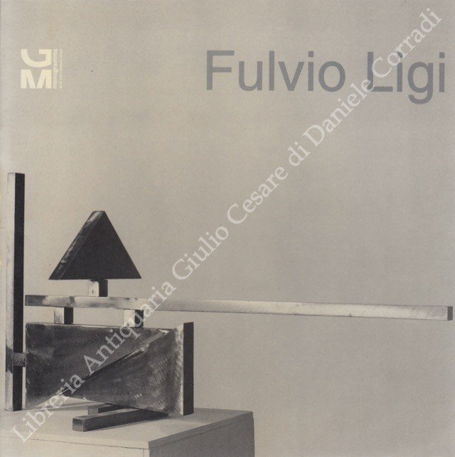 Fulvio Ligi | Immagine Gallery 2