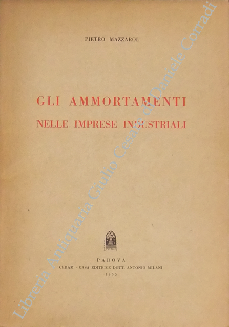 Gli ammortamenti nelle imprese industriali | Immagine Gallery 2