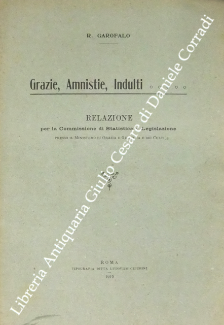 Grazie, Amnistie, Indulti Relazione per la Commissione di Statistica e … | Immagine Gallery 2