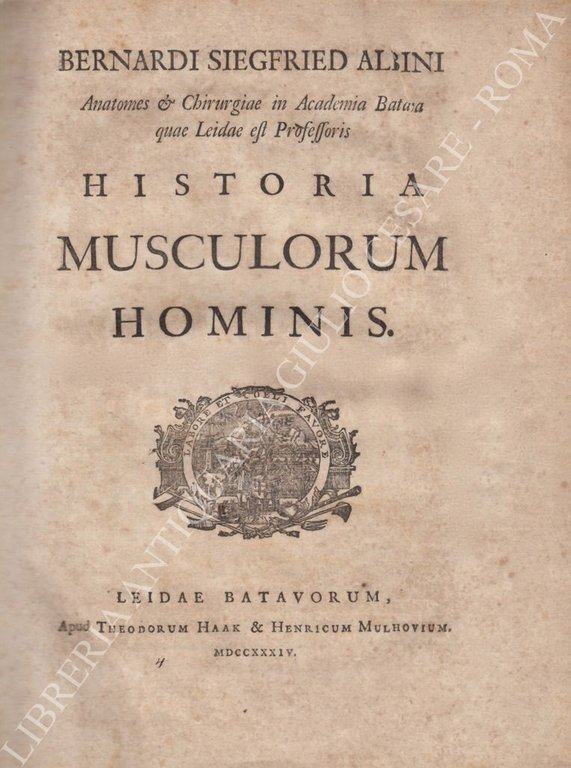 Historia musculorum hominis | Immagine Gallery 2