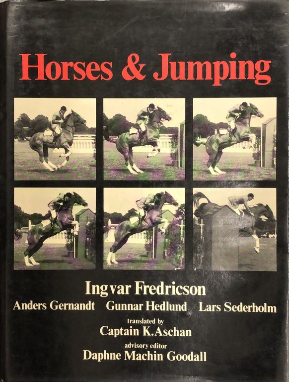 Horses & jumping | Immagine Gallery 2
