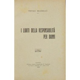 I limiti della responsabilita per danni