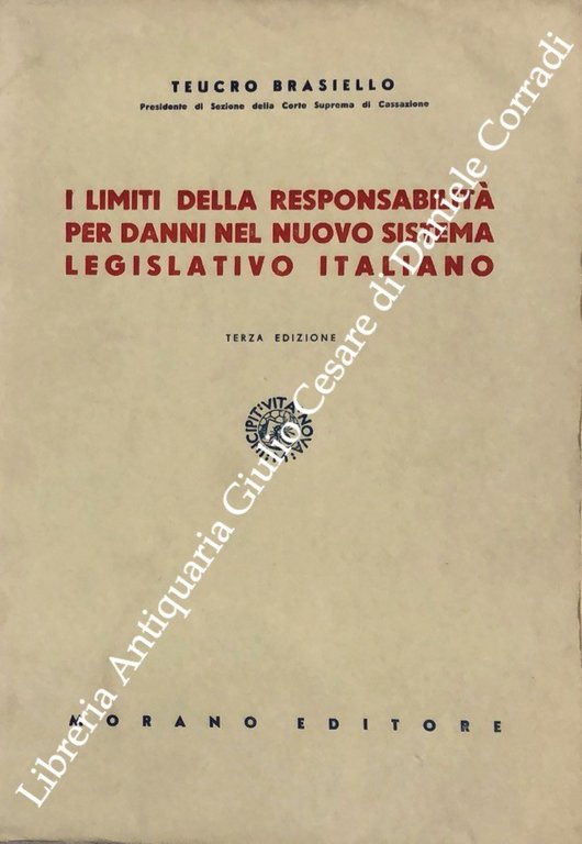 I limiti della responsabilità per danni nel nuovo sistema legislativo … | Immagine Gallery 2