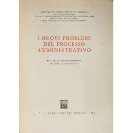 I nuovi problemi del processo amministrativo. Atti della Tavola Rotonda. …