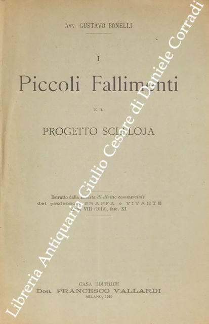 I piccoli fallimenti e il progetto Scialoja | Immagine Gallery 2