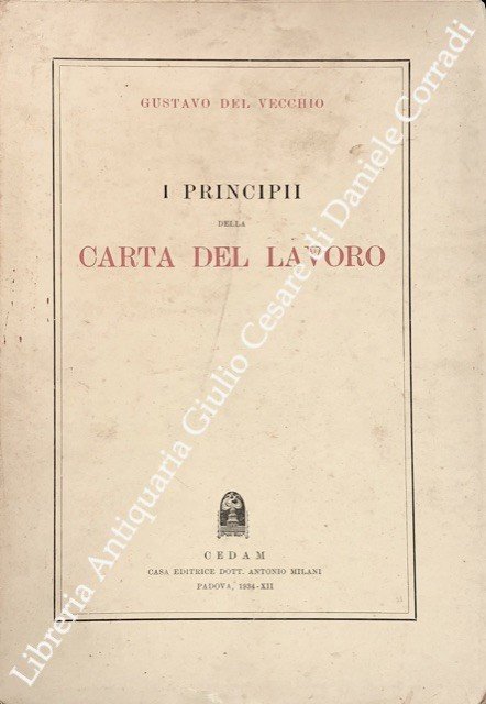 I principii della carta del lavoro | Immagine Gallery 2