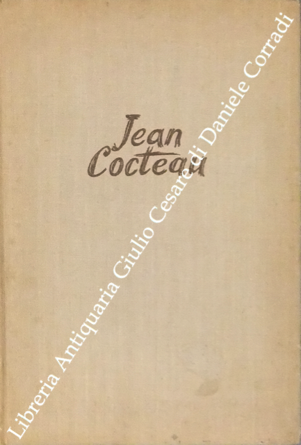 I ragazzi terribili con 19 illustrazioni dell'Autore | Immagine Gallery 2