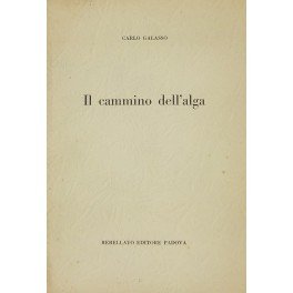 Il cammino dell'alga