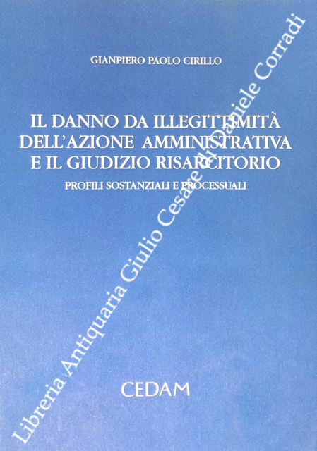 Il danno da illegittimità dell'azione amministrativa e il giudizio risarcitorio. … | Immagine Gallery 2