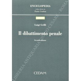 Il dibattimento penale