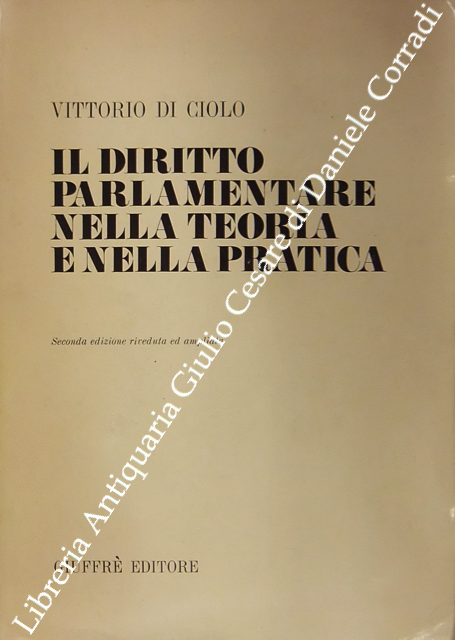 Il diritto parlamentare nella teoria e nella pratica | Immagine Gallery 2