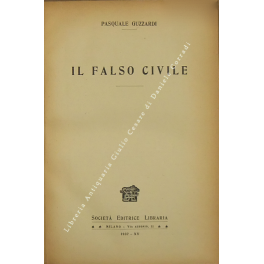 Il falso civile