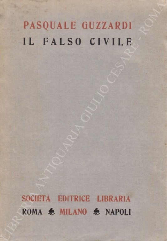 Il falso civile | Immagine Gallery 3