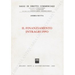 Il finanziamento intragruppo