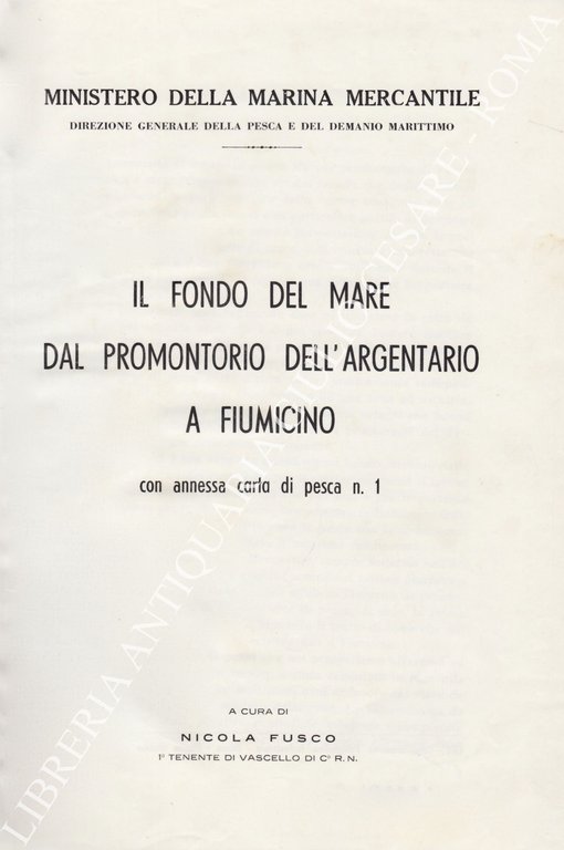 Il fondo del mare dal promontorio dell'Argentario a Fiumicino con … | Immagine Gallery 2