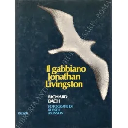 Il gabbiano Jonathan Livingston | Immagine principale