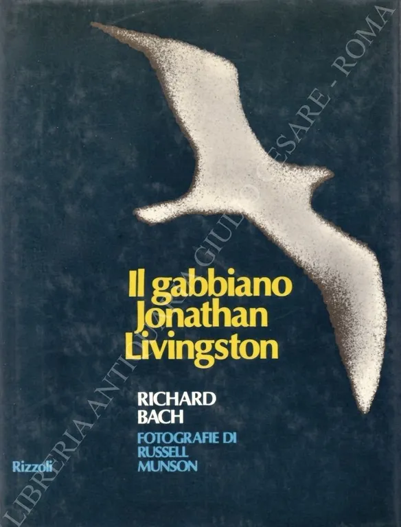 Il gabbiano Jonathan Livingston | Immagine Gallery 2