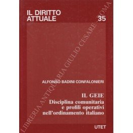 Il geie. Disciplina comunitaria e profili operativi nell'ordinamento italiano