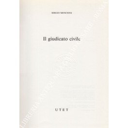 Il giudicato civile