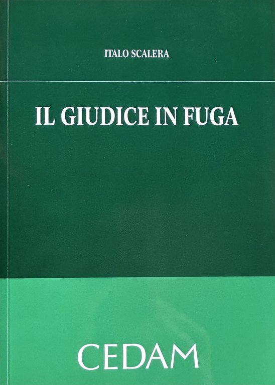 Il giudice in fuga | Immagine Gallery 2