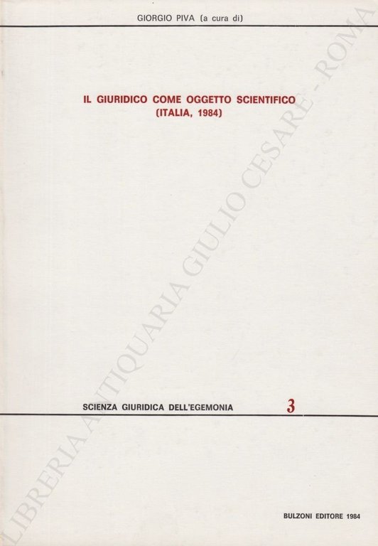 Il giuridico come oggetto scientifico (Italia, 1984) | Immagine Gallery 2