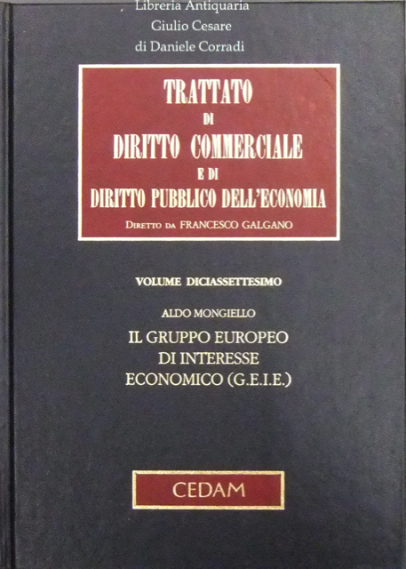 Il gruppo europeo di interesse economico (G.E.I.E.) | Immagine Gallery 2