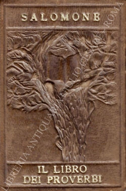 Il libro dei proverbi | Immagine Gallery 2