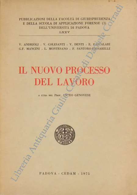 Il nuovo processo del lavoro. A cura di Anteo Genovese | Immagine Gallery 2