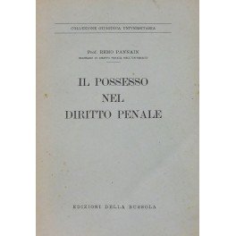 Il possesso nel diritto penale